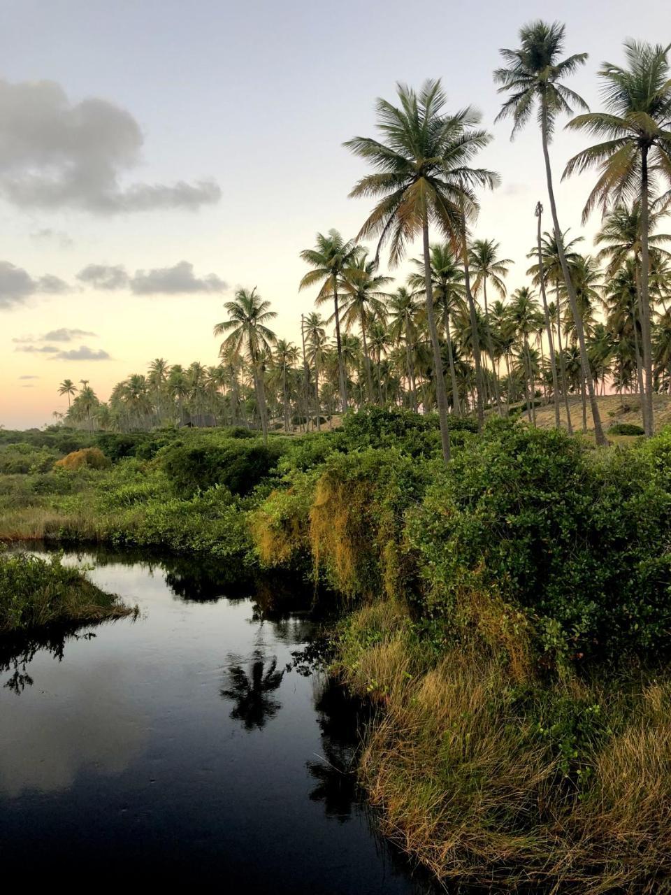 Lindo Village Imbassai ماتا دي ساو جواو المظهر الخارجي الصورة